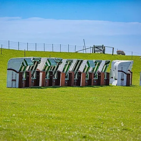 Fewo-salzwiese Нордштранд